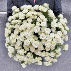 image-13-09-22-11-17-10.heic